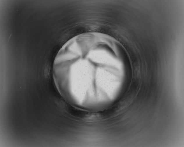 X0000088920274200707061409