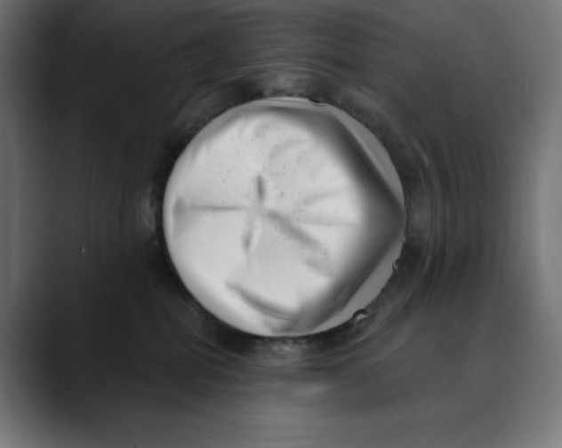 X0000088920282200707061409