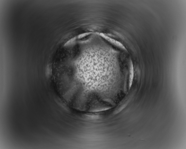 X0000088920284200707061409