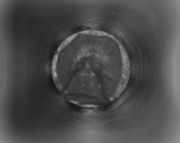 X0000088920285200707061409