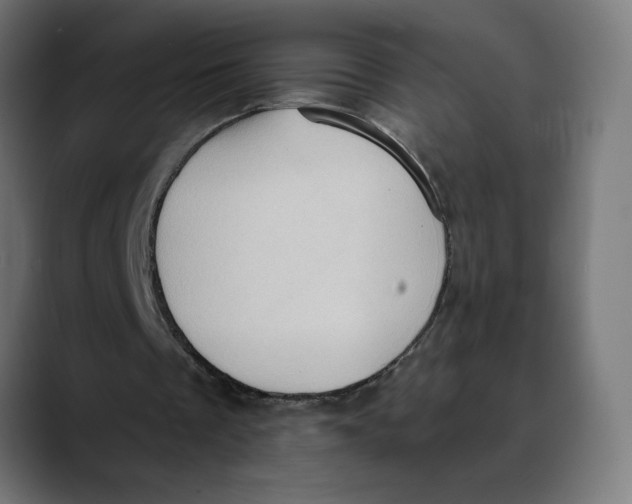 X0000088920289200707061408