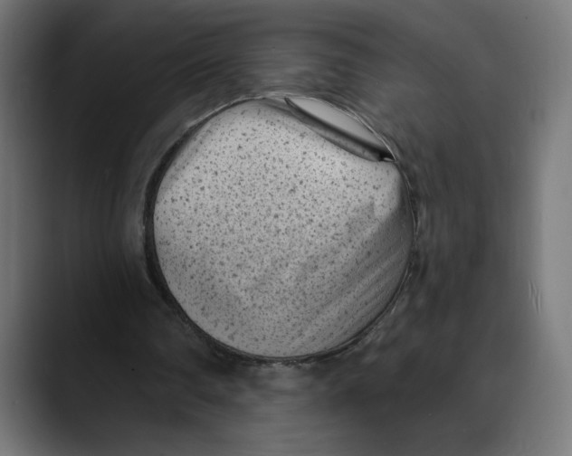 X0000088920290200707061408