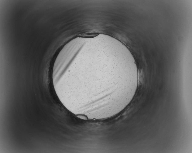 X0000088920291200707061408