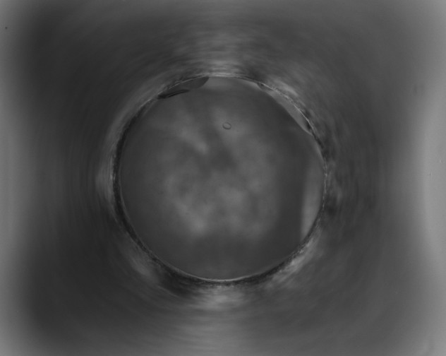 X0000088920293200707061408