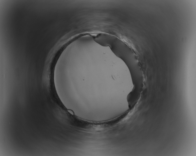 X0000088920295200707061408