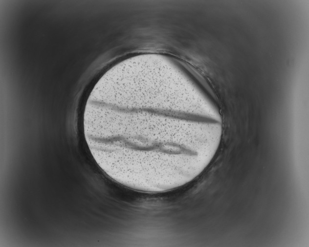 X0000088920296200707061408