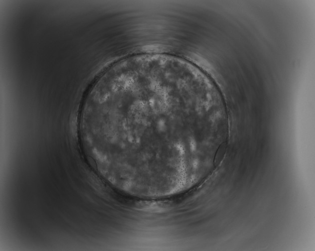 X0000088920297200707061408