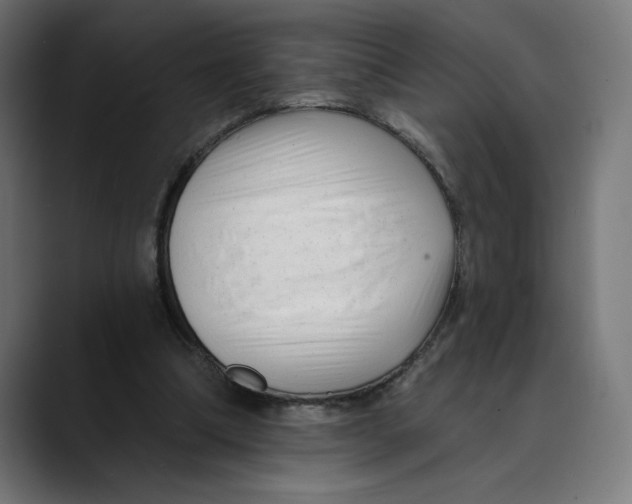 X0000088920298200707061408