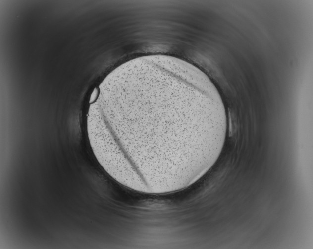 X0000088920300200707061408