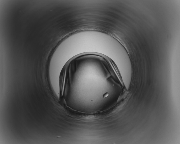 X0000088920301200707061408