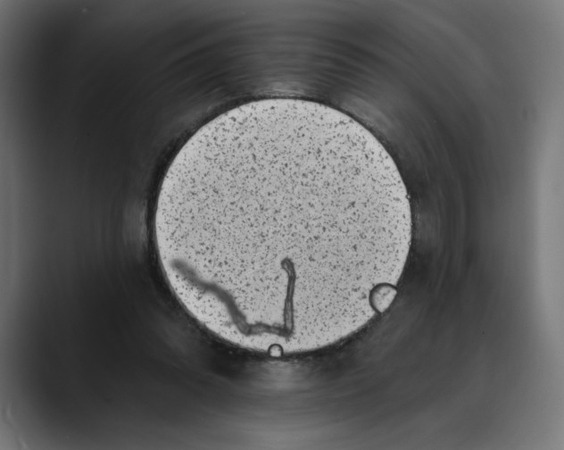 X0000088920302200707061408