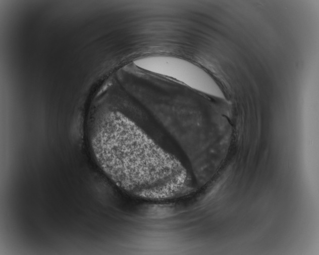 X0000088920303200707061408