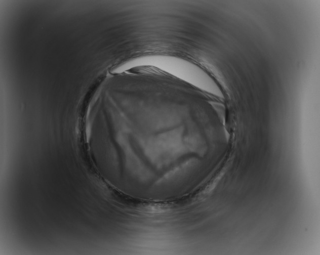 X0000088920305200707061408