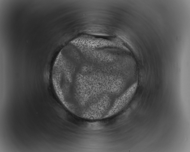 X0000088920309200707061408