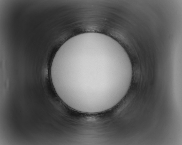 X0000088920310200707061408