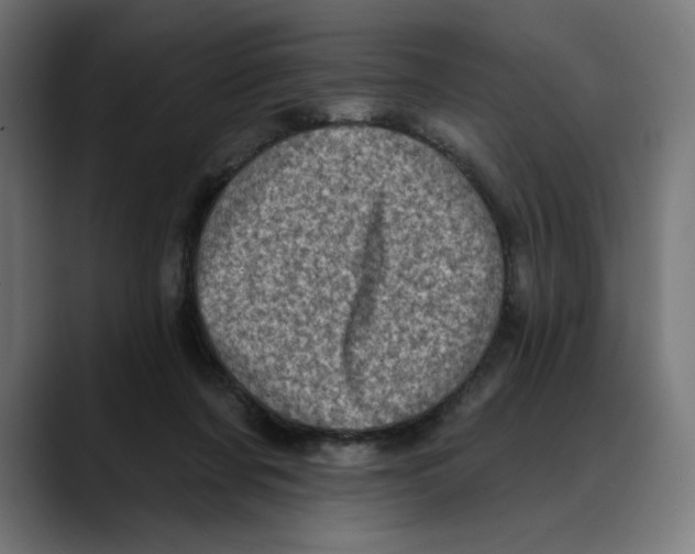 X0000088920311200707061408