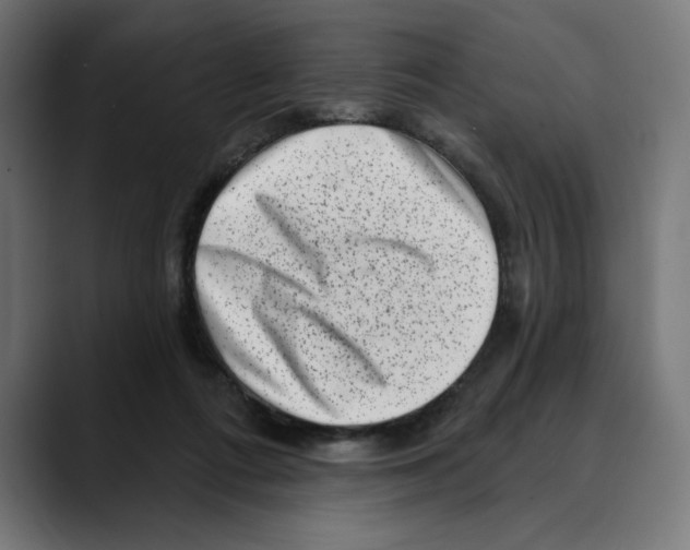 X0000088920312200707061408