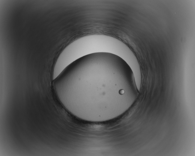 X0000088920313200707061408