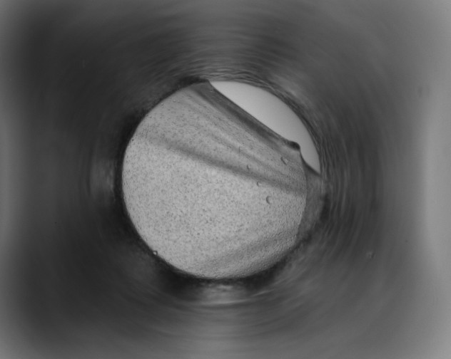 X0000088920315200707061408