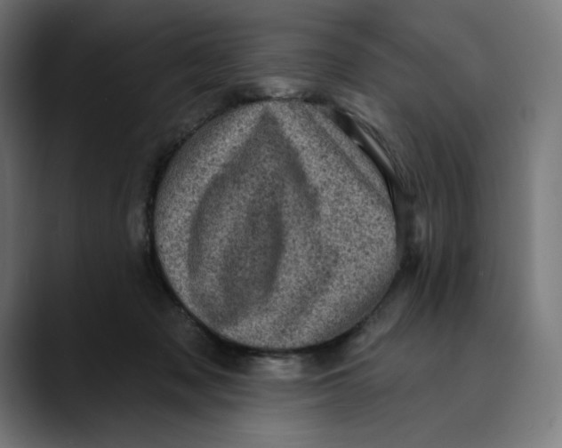 X0000088920317200707061408