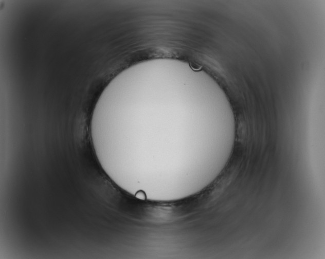 X0000088920318200707061408