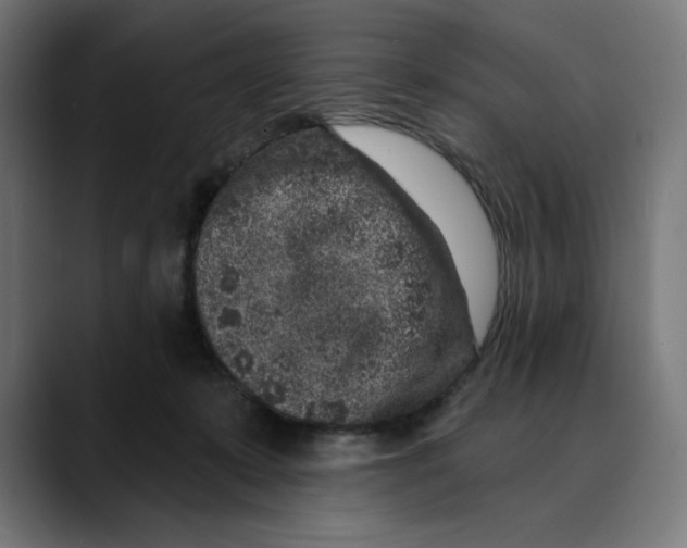 X0000088920319200707061408