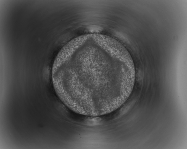X0000088920321200707061408
