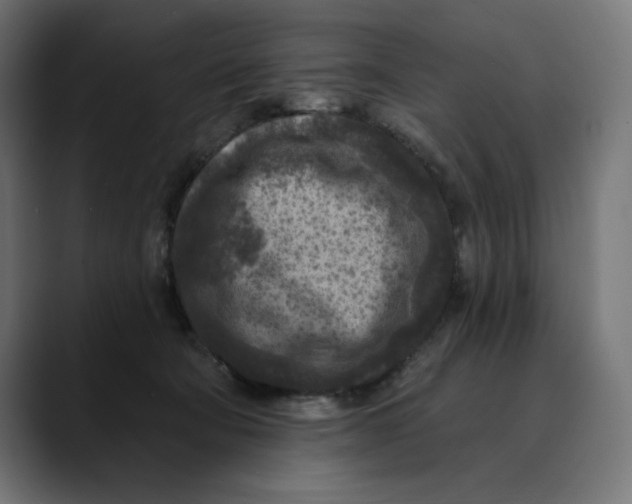 X0000088920322200707061408