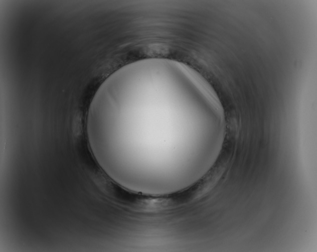 X0000088920323200707061408