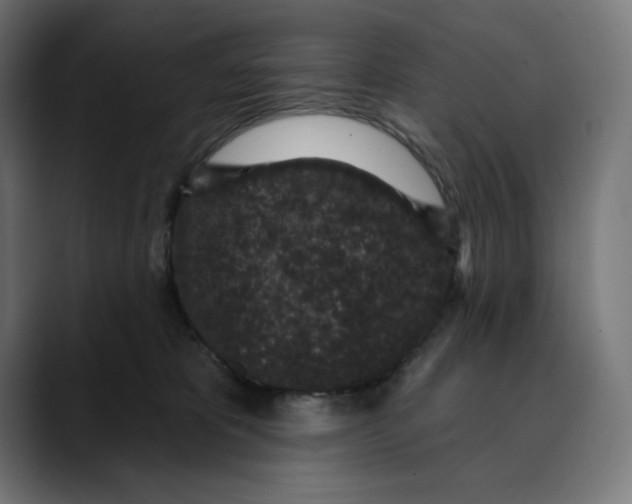 X0000088920325200707061408