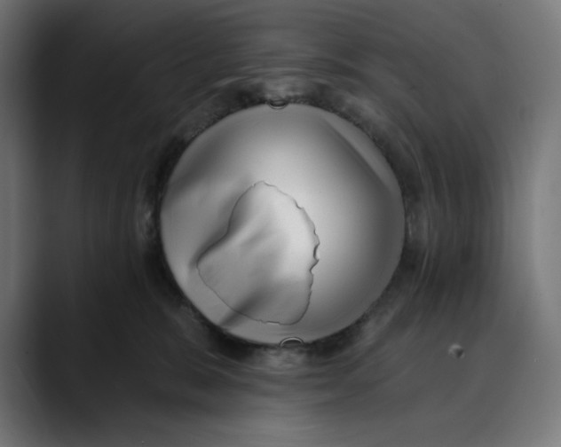 X0000088920327200707061408