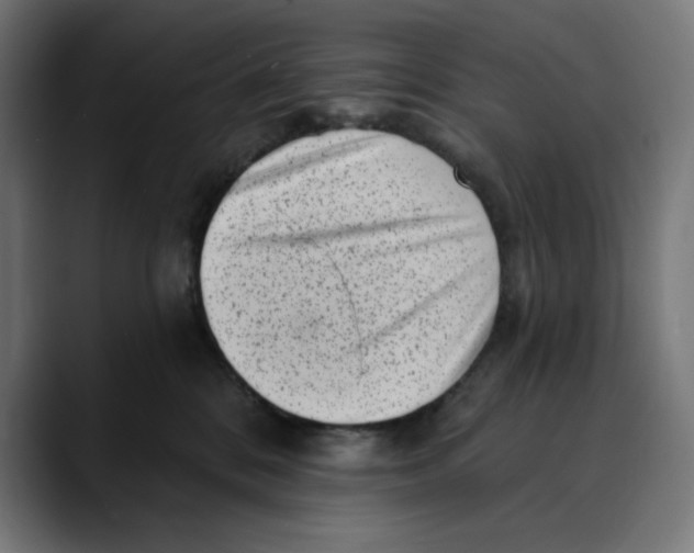X0000088920328200707061408