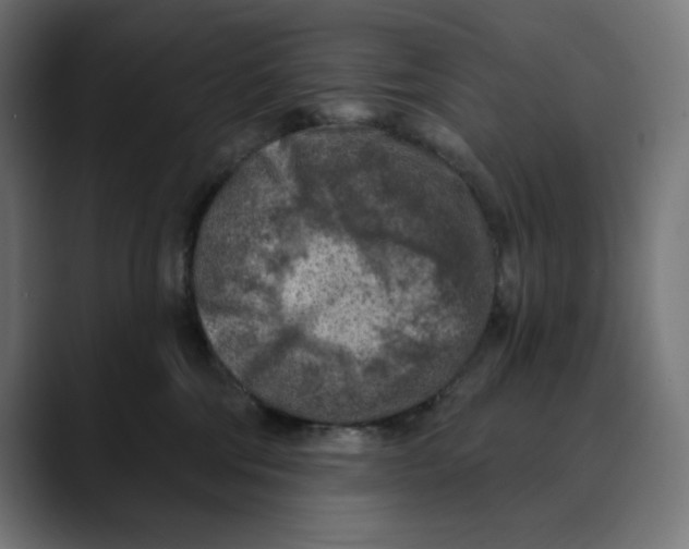 X0000088920330200707061408