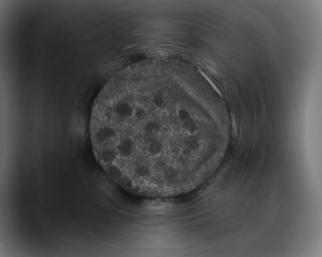 X0000088920331200707061408