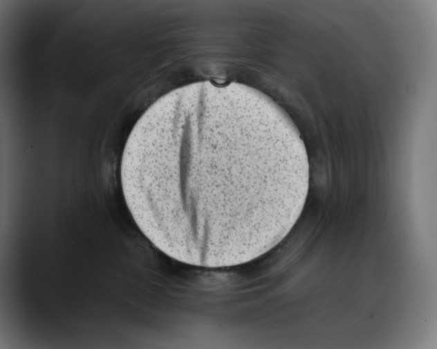 X0000088920332200707061408