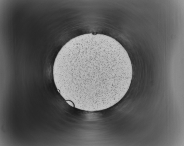 X0000088920336200707061408