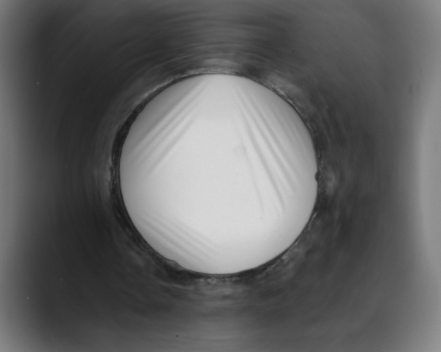 X0000088920338200707061407