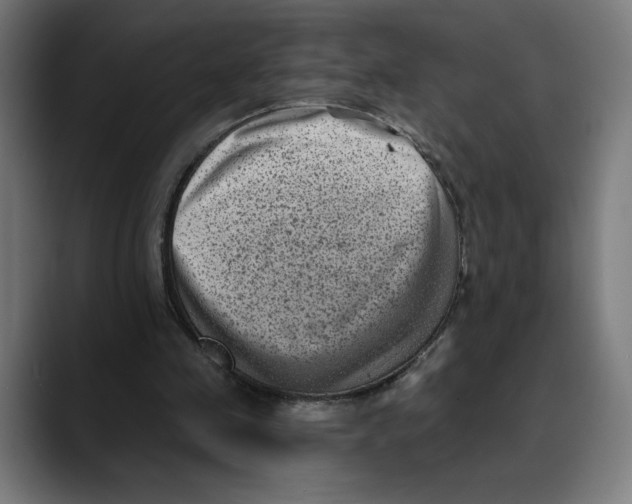 X0000088920341200707061407