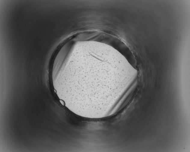 X0000088920342200707061407