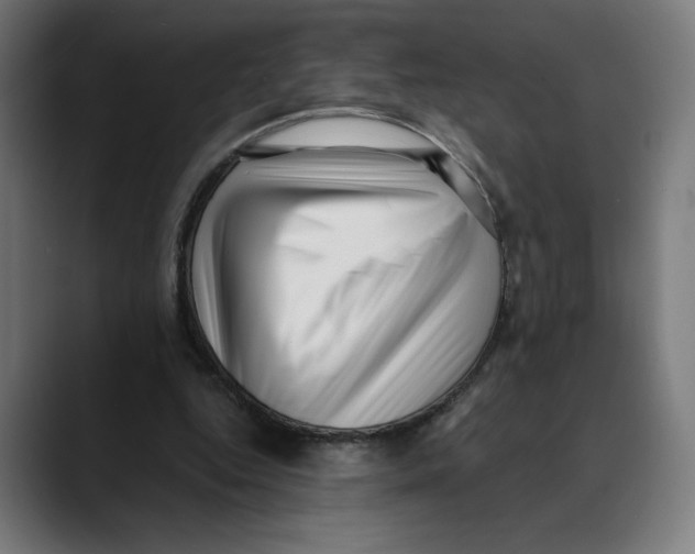 X0000088920344200707061407