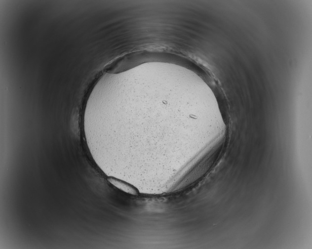 X0000088920345200707061407