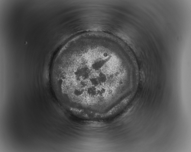 X0000088920347200707061407