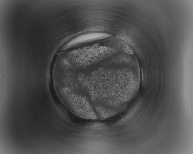 X0000088920348200707061407