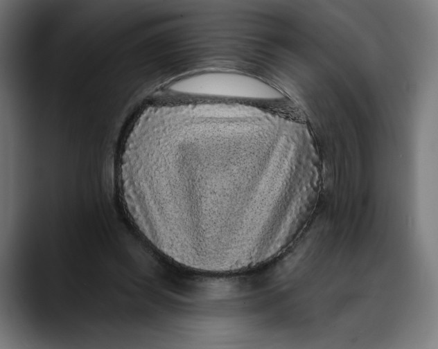 X0000088920349200707061407
