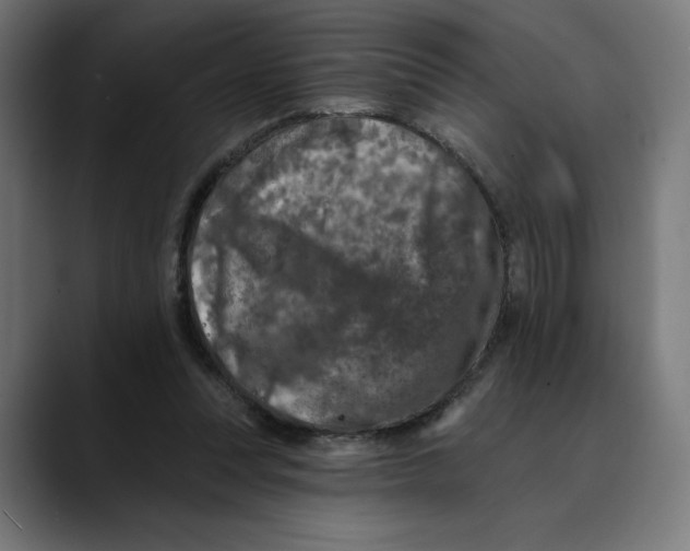X0000088920351200707061407