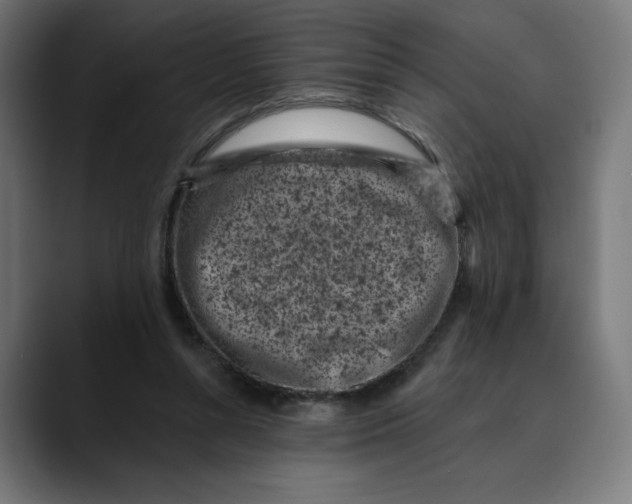 X0000088920352200707061407