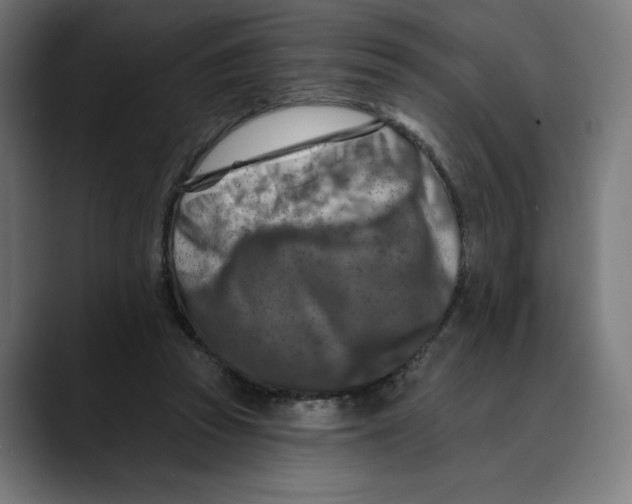 X0000088920353200707061407