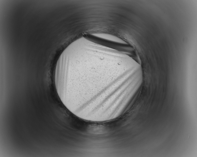 X0000088920354200707061407