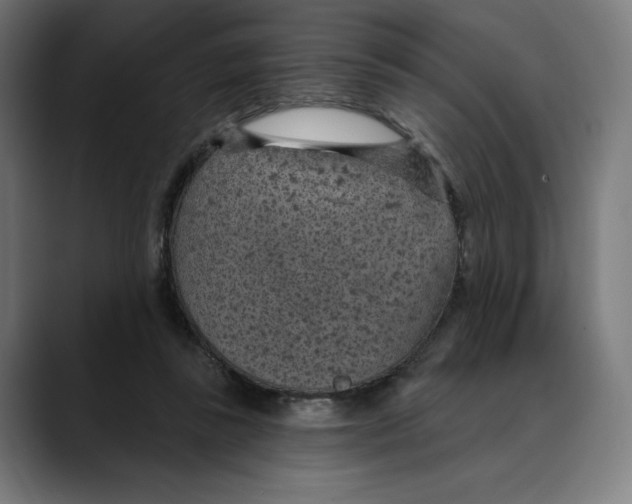 X0000088920355200707061407