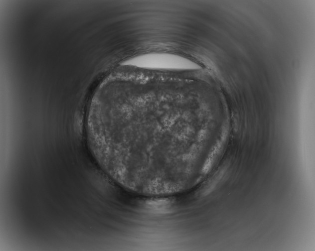 X0000088920357200707061407